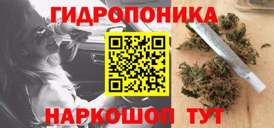 ГАЛЛЮЦИНОГЕННЫЕ ГРИБЫ Берёзовский