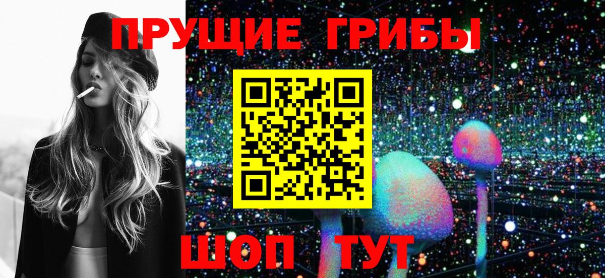 Псилоцибиновые грибы мухоморы  Псилоцибиновые грибы Psilocybe  Вход с VPN  Киров 